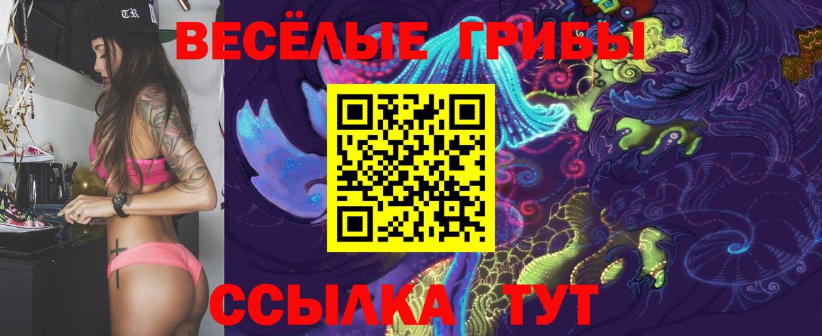 где продают наркотики  Псилоцибиновые грибы MAGIC MUSHROOMS  Вход с VPN  Ивантеевка 
